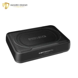 Loa sub Pioneer TS-WX130DA