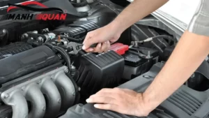 Phương Pháp Chống Chuột Và Côn Trùng Khi Sử Dụng Ô Tô