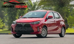 Tổng Hợp Phụ Kiện Đồ Chơi Làm Đẹp Cho Toyota Wigo