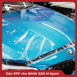 Dán PPF cho BMW 520i M Sport