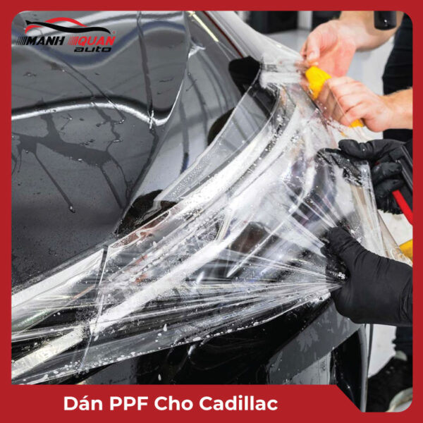 Dán PPF cho Cadillac