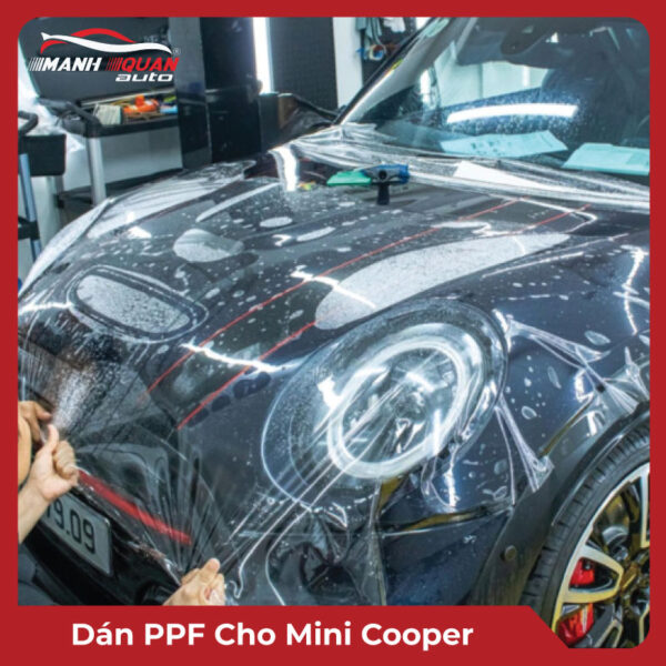 Dán PPF cho Mini Cooper