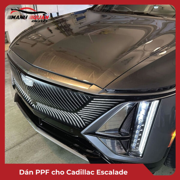 Dán PPF cho Cadilllac Escalade