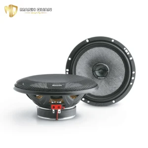 Loa cánh đồng trực Focal 165 AC