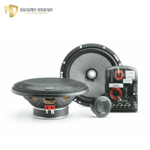 Loa cánh phân tần Focal 165 AS