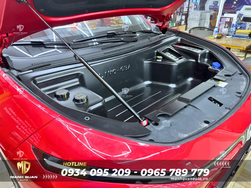 Top 10+ Phụ Kiện VinFast Limo Green Cần Thiết Nên Trang Bị Cốp trước Limo Green